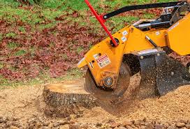 Lawn Pest Prevention in Ranchettes, WY